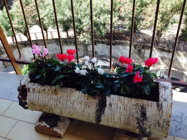 Chiavi Antiche B&B 萨莱诺 客房 照片