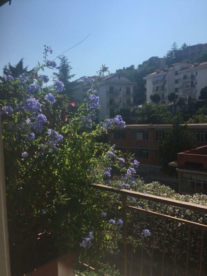 Chiavi Antiche B&B 萨莱诺 外观 照片