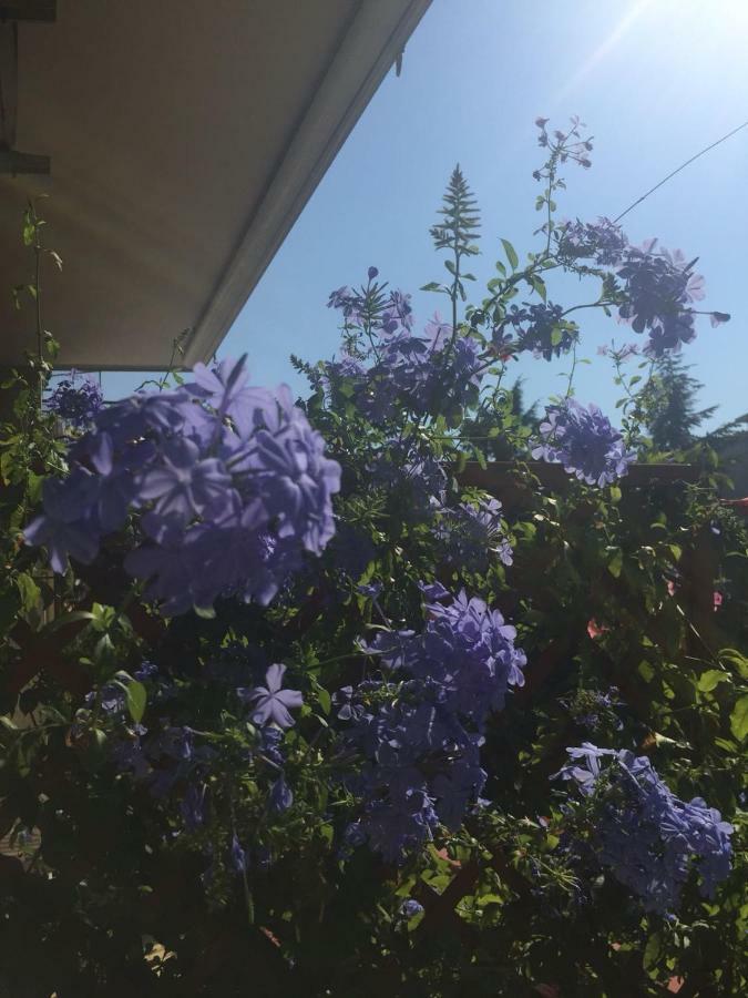 Chiavi Antiche B&B 萨莱诺 外观 照片