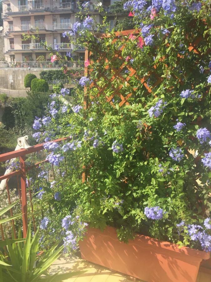 Chiavi Antiche B&B 萨莱诺 外观 照片